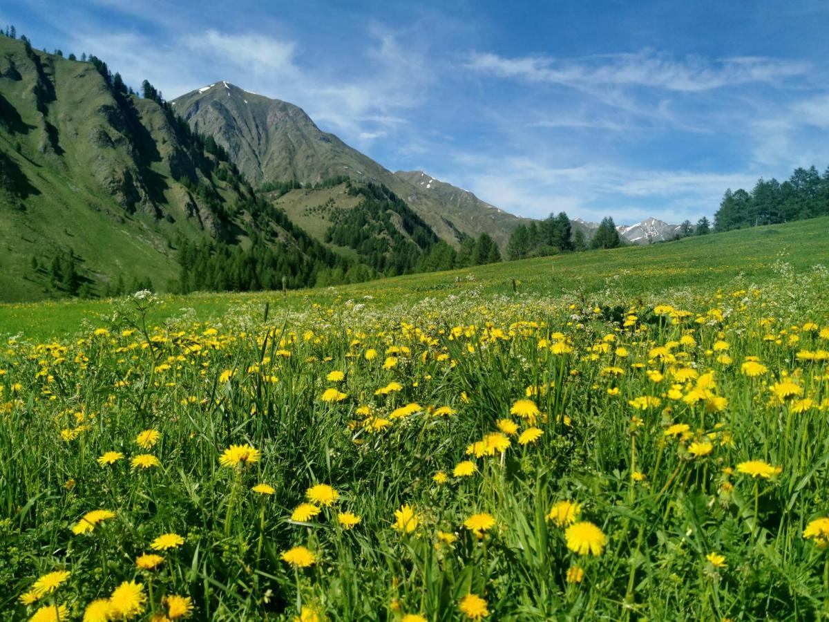 Engadin Premium & Private