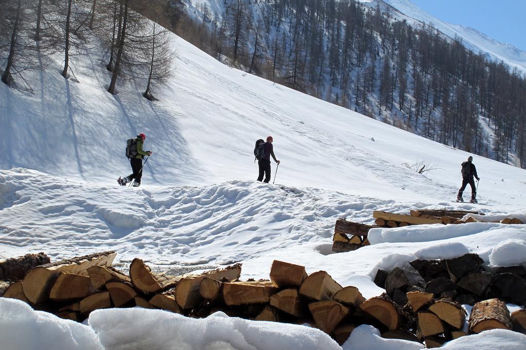 Engadin Premium & Private *