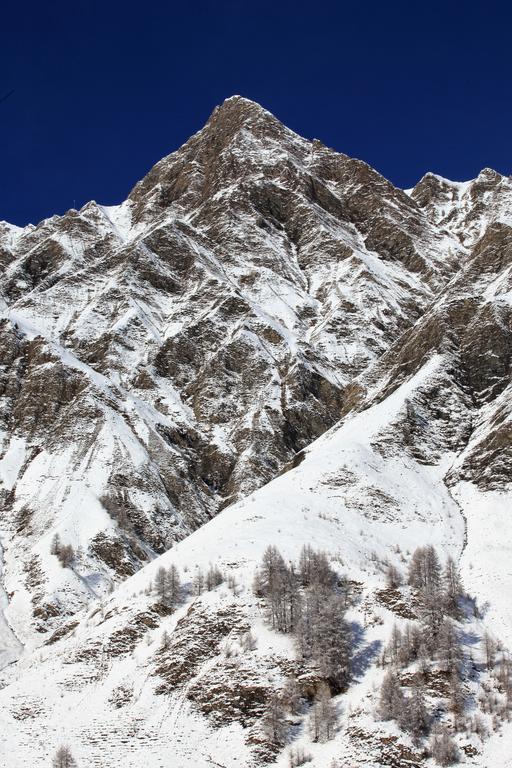 Apartment Engadin Premium & Private Samnaun